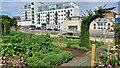 Hemel Hempstead town centre from the Water Gardens