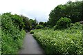 Cycle path at Tang Hall Lane