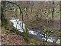 Afon Teifi