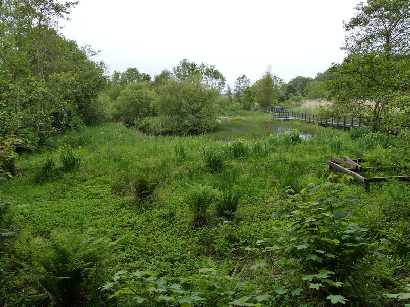 Aldouran Wetland Garden © Billy Mccrorie :: Geograph Britain And Ireland