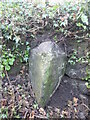 Old Milestone, Tremough