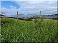 Stockbatch Solar Farm