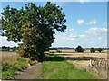 Farmland north of Holwell Road