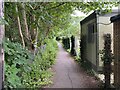 National cycle network south of Chertsey Bridge