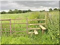 Shropshire Way stile