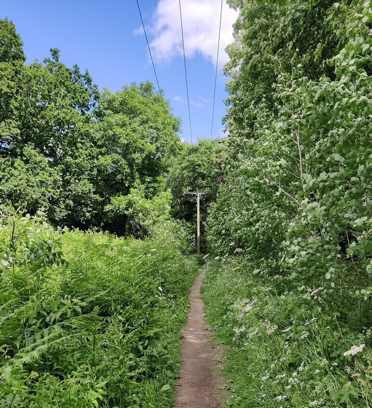 Path next to Croft Hill © Mat Fascione :: Geograph Britain and Ireland