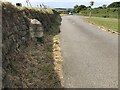 Old Milestone by the A394, south of Trevenen