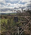 Triangulation pillar above Kintore, Aberdeenshire