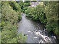 Looking upstream from Clydesholm Bridge