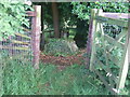 Stone stile near Leygore Cottages, Turkdean GS9389