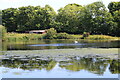 Pond near Thornton