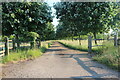 Farm track off Knoll Hill, Court-at-Street