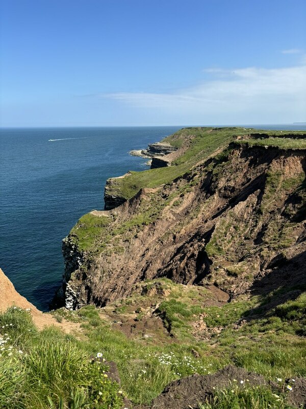 Filey Brigg Cliffs © David Robinson :: Geograph Britain and Ireland