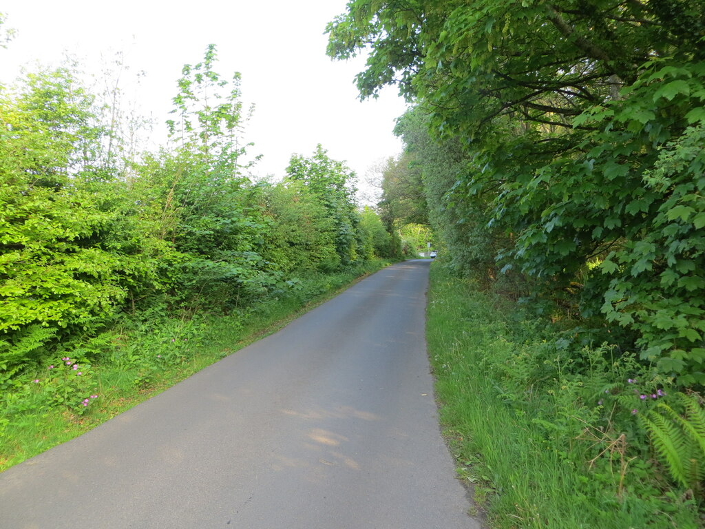 Fairlie Moor Road near Glenside © Peter Wood :: Geograph Britain and ...