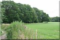 Improved Grassland by Bridleway 257