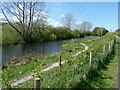 Small pond (fishing lake) Bagillt