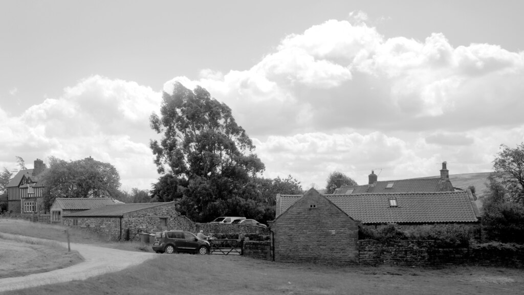 Houses, Goathland © habiloid :: Geograph Britain and Ireland