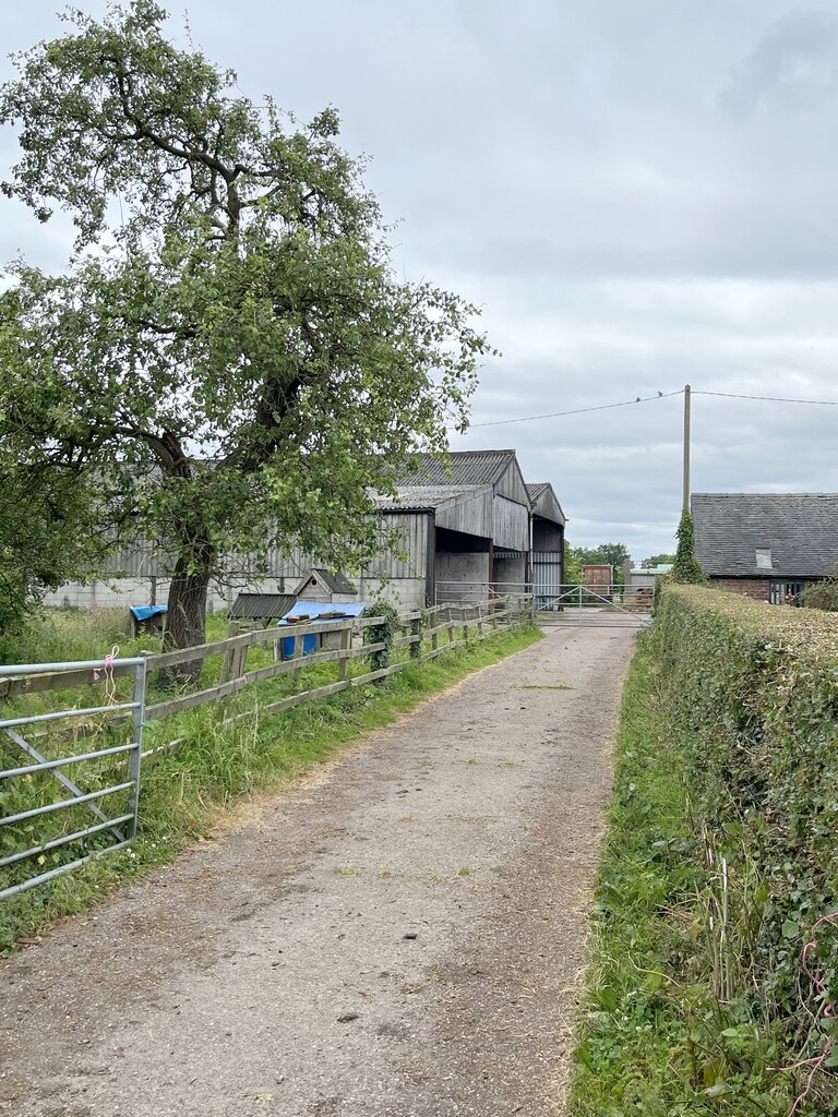 Track to Moorhead Farm © John H Darch :: Geograph Britain and Ireland