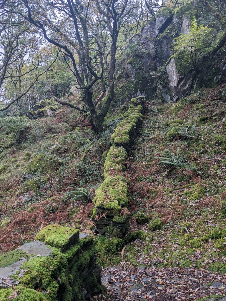 A moss covered wall below Craig y... © David Medcalf :: Geograph ...