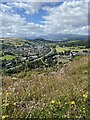 View from Bryn Euryn