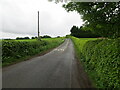 Hedge-lined road at East Tulchan