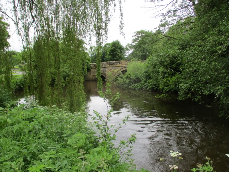 Bend in the River Rye at ... © Martin Dawes :: Geograph Britain and Ireland