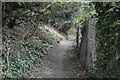 Footpath to Dorking