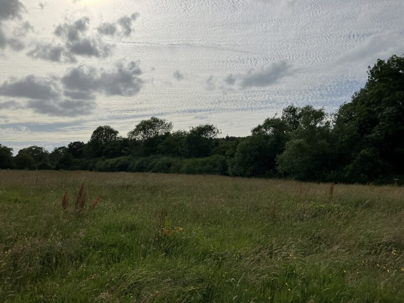 Countryside South Of Dorking © P Harris :: Geograph Britain And Ireland