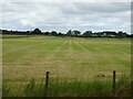 Cut silage field west of Muckleton Lane