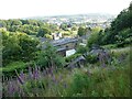 View towards Saltaire from Baildon Bank on a summer evening