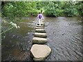 Stepping Stones