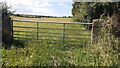 Field on west side of road opposite Wiza Farm