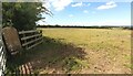 Field on north side of T-junction north of Cowslaw