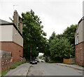 Straight Lane, Goldthorpe