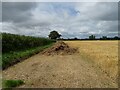 Manure heap and hedgerow, Butlersbank