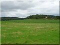 Fields near Lodge Farm