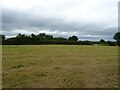 Cut silage field, Marchamley Wood