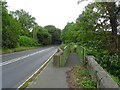 Footbridge over the Bailey Brook, Sandford