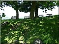 Benches in the shade above White Wells on Ilkley Moor