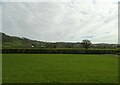 Grazing toward the A470