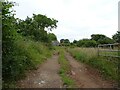 Farm track, Ightfield