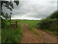 Footpath and field entrance off Coole Lane