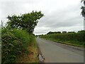 Coole Lane towards Nantwich