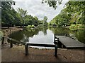 The lake in Vernon Park