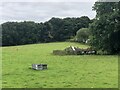 Collapsed poultry shed,