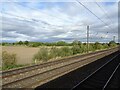 From a York-Doncaster train - Fields near Colton