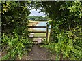 Footpath through the hedge