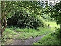 Dorking to North Holmwood footpath