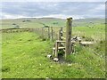 Stile at path junction on Broad Moss