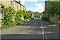 Cottages on Paines Hill